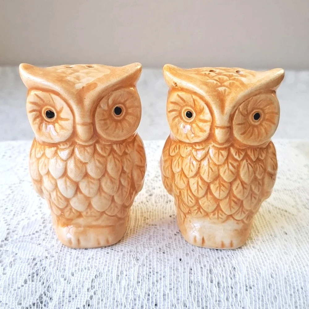 Vintage Pair MCM Handpainted Classic Ceramic Owl Salt & Pepper Shakers Pottery